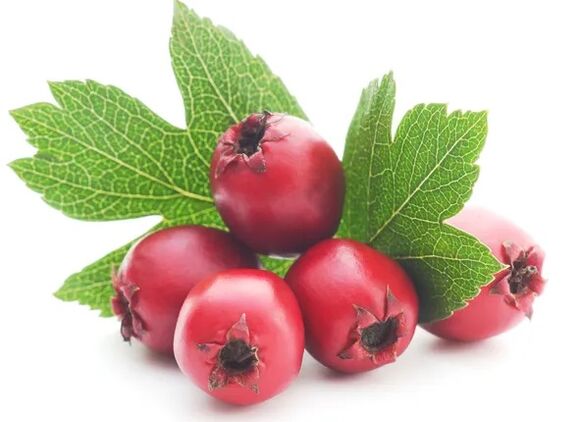 Cardiol contains hawthorn grain extract